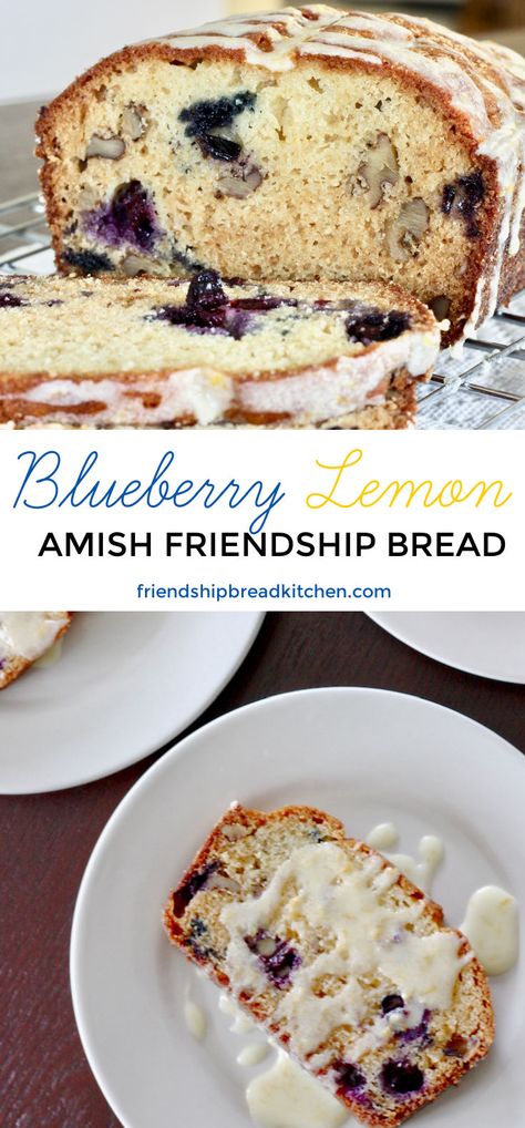 Pumpkin Spice Amish Friendship Bread, Recipes For Amish Friendship Bread, Blueberry Amish Friendship Bread, Blueberry Friendship Bread, Lemon Friendship Bread, Amish Blueberry Bread, Lemon Amish Friendship Bread, Amish Friendship Bread Starter Uses, Pumpkin Amish Friendship Bread