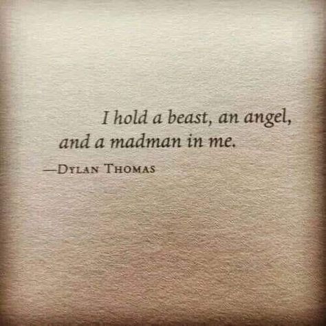 Fallen Angel Quotes, Cassandra Clare Quotes, Fallen Angel Tattoo, Just Like Heaven, Angel Quotes, Soul Quotes, Writing Quotes, Fallen Angel, Poetry Quotes