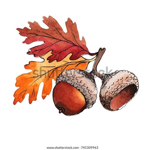 Acorn Drawing, Acorn Image, Boom Kunst, Christmas Card Art, Watercolor Projects, Fall Watercolor, Watercolor Painting Techniques, Watercolor Art Lessons, Autumn Painting