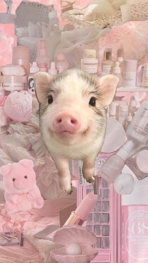 Cute Pig Wallpaper For Laptop, Zepeto Background Aesthetic School, Pig Aesthetic Wallpaper, Cute Pig Wallpaper, Pig Aesthetic, Preppy Peppa, Baby Piglet, 3 Pigs