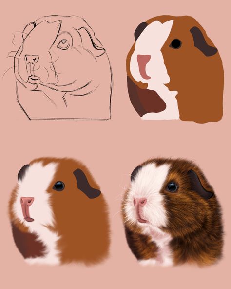 Procreate Animal Illustration, Pet Portrait Procreate, Realistic Procreate Drawings, Procreate Animal Drawing, Procreate Realistic Drawing, Procreate Animals, Procreate Tutorial Step By Step, Guinea Pig Drawing, Animals Procreate