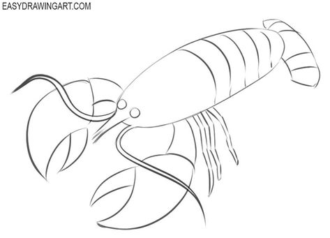 How To Draw A Crawfish Step By Step, Crawfish Drawing Easy, Crawdad Drawing, Crayfish Drawing, Crawfish Drawing, Very Easy Drawing, Anime Drawings Tutorials, Drawing Lessons, Drawing Tutorial