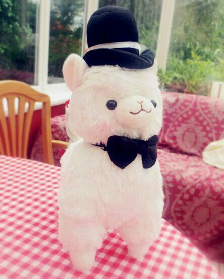 I am fancy.  #fancy man Llama Plushies, Kawaii Wedding, Alpaca Plushie, Kawaii Alpaca, Llama Plush, Alpaca Stuffed Animal, Cute Alpaca, Llama Alpaca, Sewing Stuffed Animals