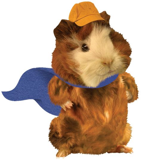 Wonder Pets Icon, Wonder Pets Linny, Wonder Pets Wallpaper, Black Cat Drawings, Nickelodeon Universe, Nickelodeon Characters, Drawings For Kids, Wonder Pets, Cat Drawings