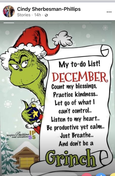 Christmas Quotes Grinch, Outfits Quotes, Grinch Images, 80s Christmas, Grinch Quotes, December Quotes, Senior Humor, Fail Better, Carpet Outfits