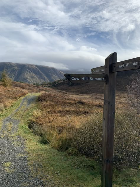 Cow Hill Circuit hike in Fort William, Scotland (October 2018) Scotland Cow, Scotland Farm, Scotland Hikes, Hiking In Scotland, Scotland Summer, Fort William Scotland, Scotland Mountains, Scotland Hiking, Irish Countryside