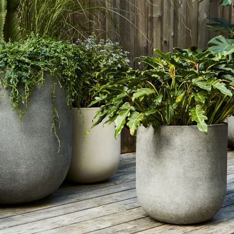 Modern Planters Outdoor, Planter Liners, Porch Planters, Terrace Ideas, Indoor Outdoor Planter, Cement Planters, Spring Decorating, Outdoor Planter, Outdoor Pots