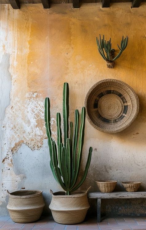 Ariel Kebbel, Mexican Landscape Photography, Cactus Mural Outdoor, Cactus Desert Aesthetic, Cactus Installation, Cactus Photography Aesthetic, Southwest Vibes, Silent Killer, Small Patio Design