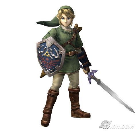 Link costume Twilight Princess Twilight Princess Link, Link Twilight Princess, Link Costume, Dark Link, Super Smash Bros Brawl, Zelda Fitzgerald, Link Cosplay, Circus Characters, Arte Nerd