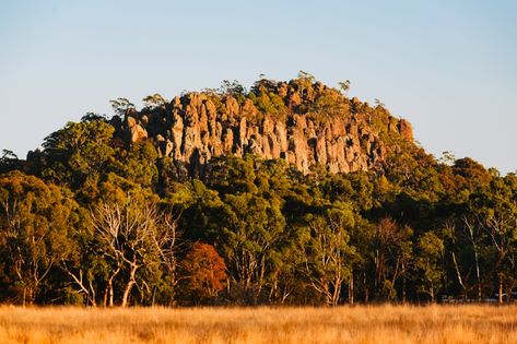 Hanging Rock Reserve, South Rock Road, Newham, Victoria, Australia - Visit Macedon Ranges Picnic At Hanging Rock, Hanging Rock, Macedon Ranges, A Room With A View, The Black Hole, Community Park, Walking Paths, Rock Baby, Travel Brand