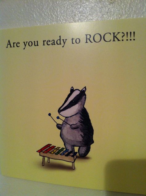 Badger... Animal Funnies, Hufflepuff Pride, Honey Badger, Wisconsin Badgers, Hogwarts Houses, Racoon, Funny Animal Pictures, Empath, You Funny