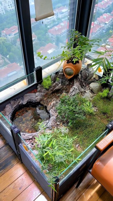 Turtle Indoor Habitat, Mini Ponds Backyard, Indoor Fish Pond, Turtle Tank Ideas, Home Gardening Ideas, Kolam Koi, Fish Pond Gardens, Fish Tank Terrarium, Turtle Habitat