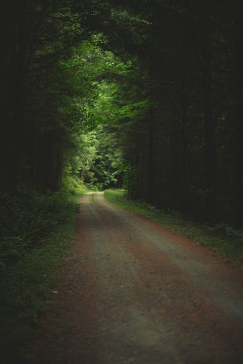 Myrtle Creek, Oregon By Brendon Burton Photography Small Towns, Oregon, Washington, Country Roads, Favorite Places, Road, Photography, Nature