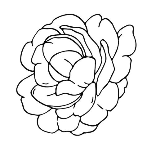 Camilla Flower Drawing, Camellia Flower Drawing, Camellia Flower Tattoo, Camellia Drawing, Im Sorry Mom, Kali Tattoo, Floral Design Drawing, Wallpaper Iphone Dark, White Camellia