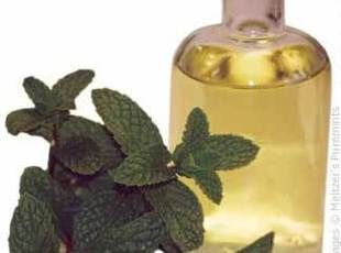 Make your own mint infused oil & recipes Henna For Hair Growth, Infused Oil Recipes, Make Essential Oils, Curry Leaf, Natural Ginger, Homemade Essential Oils, Natural Headache Remedies, Making Essential Oils, Homemade Oil