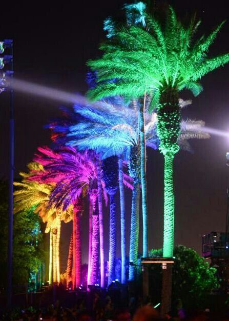 Rainbow palm trees Palm Tree Lights, Rooftop Restaurant Design, Coachella Valley Music And Arts Festival, Somewhere Over The Rainbow, Rainbow Magic, Rainbow Aesthetic, Taste The Rainbow, Designer Drapes, Live Colorfully