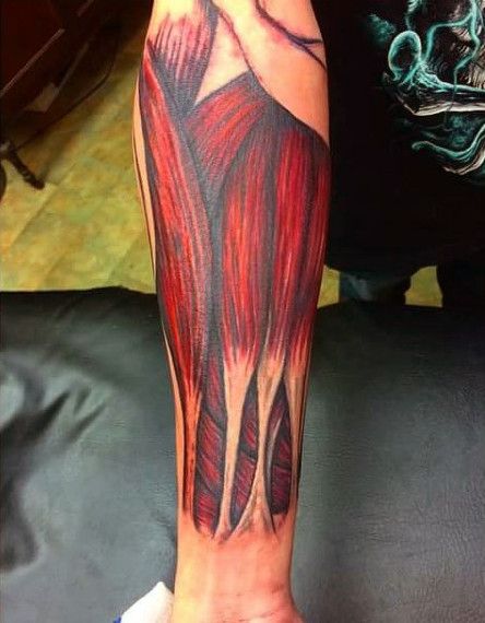 Muscle Fiber Guys Forearm Sleeve Tattoo Inspiration Exposed Muscle Tattoo, Muscle Tattoo Design, Muscle Painting, Sleeve Tattoo Inspiration, Forearm Sleeve Tattoo, Muscle Fiber, Arm Anatomy, Anatomy Tattoo, Forearm Muscles