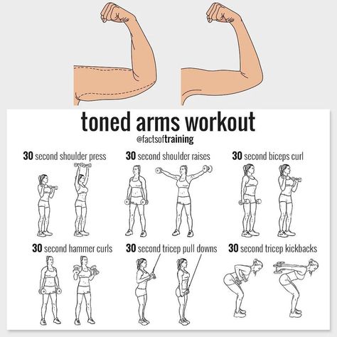 Toned Arms Workout, Arm Toning, Tone Arms, Fitness Studio Training, Tone Arms Workout, Latihan Dada, Tricep Kickback, Gym Antrenmanları, Arms Workout