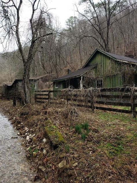 Hermit Aesthetic, Southern Aesthetic, Brown Autumn, Ghost World, Southern Gothic, Appalachian Mountains, Gothic Aesthetic, Old Farm, Aesthetic Images