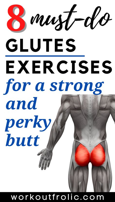 Clam Exercise Glutes, Glutious Maximus Workouts, Glutious Maximus, Glute Muscles Exercises, Mens Glute Workout, Glute Muscles Anatomy Exercise, Glute Maximus Workout, Glute Workout Men, Gluteus Maximus Exercises