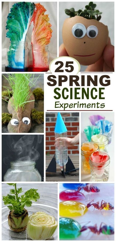 Spring Science Experiments, Spring Science Activities, Fun Experiments For Kids, Spring Science, Science Experiments For Kids, Experiments Kids, Experiments For Kids, Kid Experiments, Kids Science