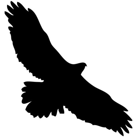 Hawks and Falcons Browse by Shape, All About Birds, Cornell Lab of Ornithology Hawk Silhouette, Hawk Flying, Hawk Wings, Red Clipart, Northern Goshawk, Fish Outline, Drawing Bird, Hawk Tattoo, Eagle Silhouette