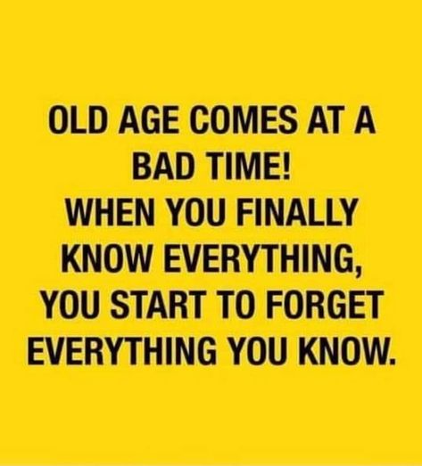 Aging Humor, Senior Humor, Aging Quotes, Sarcastic Quotes Funny, Old Age, Bad Timing, Quotable Quotes, Dad Jokes, Sarcastic Quotes