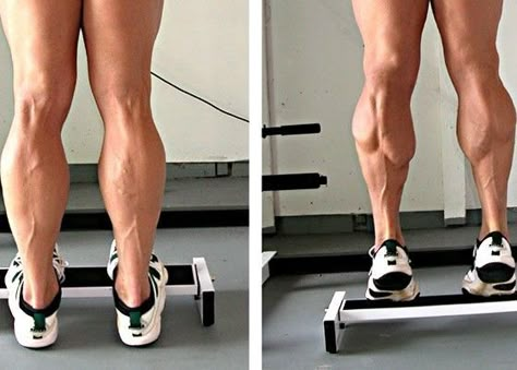 How to Build Awesome Calves - Garage Gym Builder Calf Muscle Workout, Soleus Muscle, Calf Exercises, Muscle Stretches, Build Muscle Fast, Leg Training, Workout Posters, Calf Muscles, Body Fitness