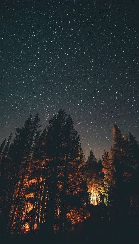 My Season Aesthetic, Dark Moody Iphone Wallpaper, Dark Moody Fall Aesthetic, Dark Fall Aesthetic Wallpaper Iphone, Booktok Wallpaper Aesthetic Spicy, Winter Wallpaper Nature, Fall Sky Wallpaper, Night Time Forest Aesthetic, Night Stars Wallpaper Aesthetic