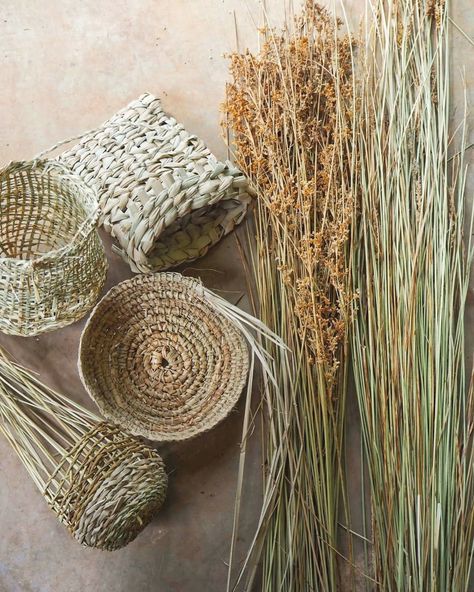 Weaving With Natural Fibres, Nature Crafts For Adults Diy, Shed Studio, Basket Weaving Diy, Basket Weaving Patterns, Willow Weaving, Baby Otters, Natural Baskets, Pine Needle Baskets