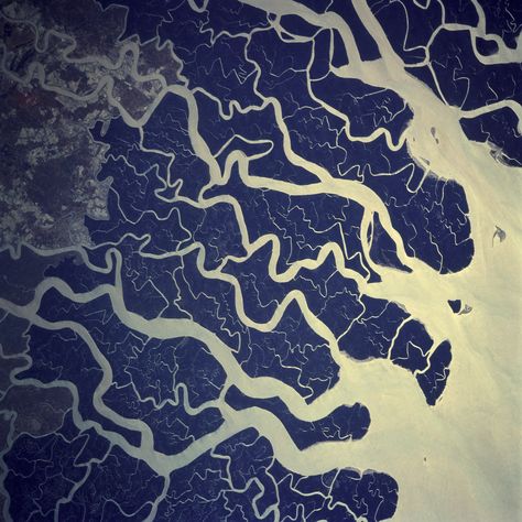 Ganges river from above Fractals In Nature, Ganges River, River Delta, Satellite Image, Earth From Space, Aerial Photo, Photography Gallery, Birds Eye View, Drone Photography