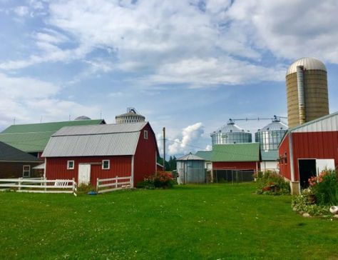 Gallery - Dairy Farm Tours Wisconsin Travel, Farm Tour, Family Tour, Dairy Queen, Dairy Farm, Dairy Farms, Group Tours, Come And See, Tractor