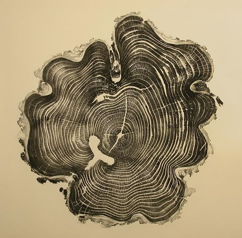 Bryan Nash Gill - Gallery Office Tree, Gallery Painting, Honey Locust, Tree Ring, Blog Art, Wood Prints, Woodcuts Prints, Relief Print, Tree Rings