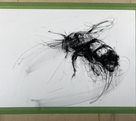 @aprilcoppini on Instagram: “Bee starts... (20x30”) #bumblebees #charcoaldrawing” Charcoal Drawing, Art Drawings Sketches, Bumble Bee, Drawing Sketches, Art Drawings, Bee, Tattoos, Drawings, On Instagram