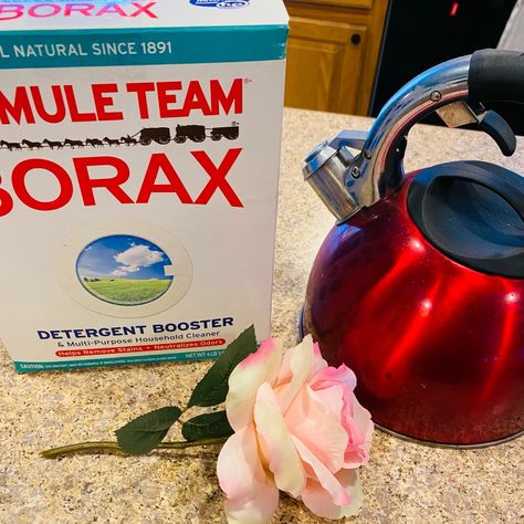 Borax Crystalized Flowers, Borax Crystal Flowers, Borax Crystal Book, Borax Crystals Diy, Borax Laundry, Diy Crystal Crafts, Borax Crystals, Diy Skulls, Dried Flowers Diy