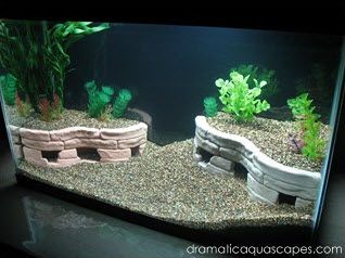 DIY Aquarium Stone Terrace Cave - petdiys.com Diy Aquarium Decor, Aquarium Diy, Axolotl Tank, Fish Tank Themes, Diy Fish Tank, Aquarium Terrarium, Diy Aquarium, Nature Aquarium, Aquascape Aquarium