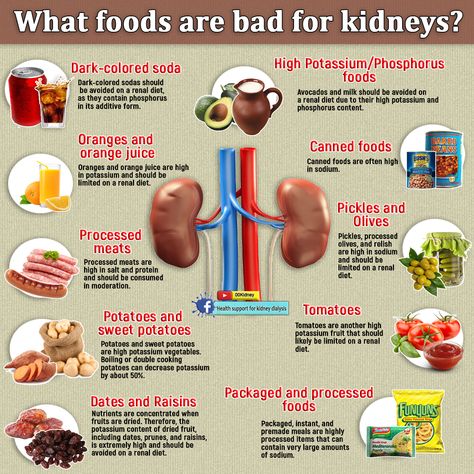 Foods Bad For Kidneys, Kidney Stone Diet, Kidney Healthy Foods, Kidney Diet Recipes, Kidney Friendly Recipes Renal Diet, Food For Kidney Health, Healthy Kidney Diet, Kidney Friendly Diet, Renal Diet Recipes