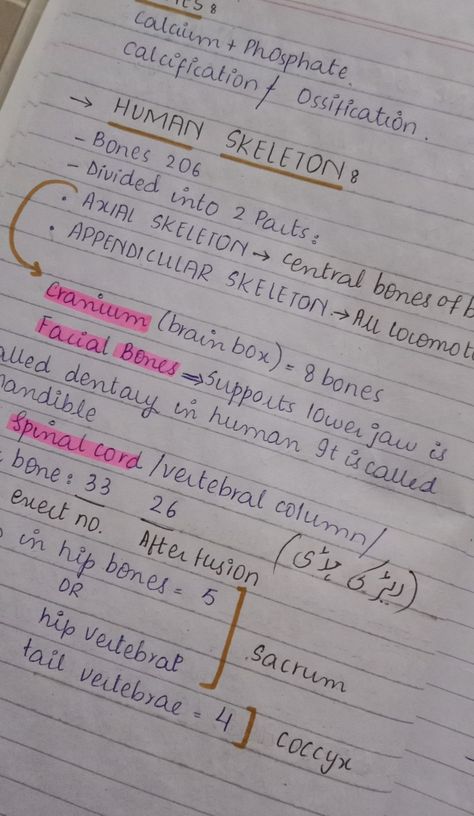 Axial skeleton Appendicular skeleton Axial Skeleton Anatomy, Skeleton Notes, Appendicular Skeleton, How I Take Notes, Axial Skeleton, Anatomy Images, Skeleton Anatomy, Class 9, Nurse Stuff