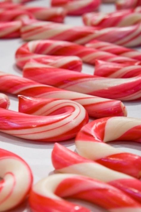 Homemade Candy Canes Candy Canes Diy, Make Candy Canes, Homemade Candy Canes, Canes Recipe, Canes Food, Candy Cane Recipe, How To Make Candy, Homemade Candy, Handmade Candy