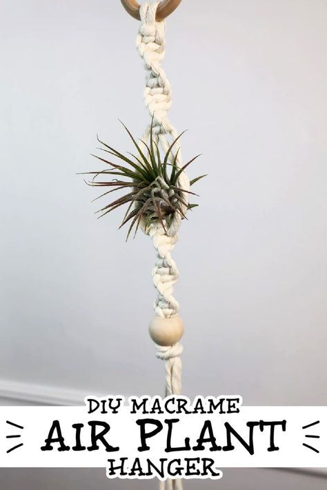 Learn how to make this easy DIY Macrame Air Plant Holder in this step by step Tutorial & Video! This free pattern is a great beginner project | macrame for beginners | free macrame patterns | air plant holder | DIY air plant hanger Macrame Patterns Pots & Planters, Macrame Airplant Holder Diy, Tassel Free Macrame Plant Hanger, Mini Macrame Air Plant Hanger Diy, Crochet Air Plant Hanger Free Pattern, Macrame Air Plant Hanger Tutorial, Macrame Plant Pod, Air Plant Hanger Macrame, Air Plant Macrame Hanger Diy