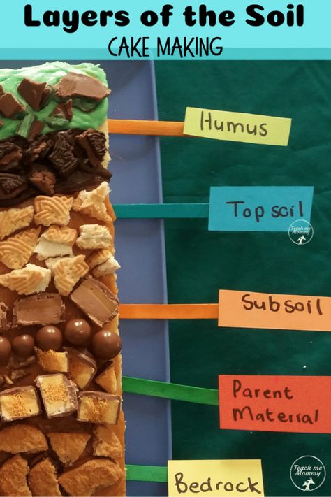 Layers of the Soil Cake- a fun and yummy way to learn about layers of soil! #handsonlearning #funlearning #teachmemommydotcom Layers Of Soil Model, Layers Of Soil, Soil Activities, Plant Experiments, Earth Science Activities, Peppermint Crisp, Earth Layers, Science Models, Tiger Cubs