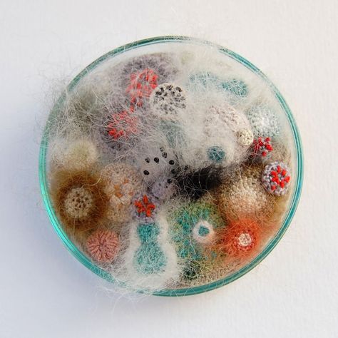 Crocheted and Embroidered Bacteria Grow in Elin Thomas’s Fiber Art Petri Dishes Bacteria In Petri Dish, Petri Dish Embroidery, Bacteria Art Microbiology, Epidemiology Art, Microbiology Embroidery, Elin Thomas, Bacteria Art, Bacteria Culture, Microbiology Art