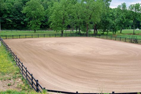 Outside Horse Arena, Outdoor Horse Riding Area, Small Horse Arena Outdoor, Outdoor Riding Arena Ideas, Small Horse Arena, Outdoor Arena Horses, Horse Arena Ideas, Outdoor Horse Arena, Outdoor Riding Arena