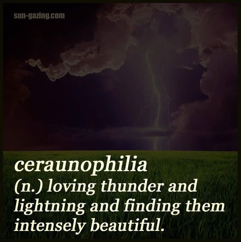 Thunder you can feel in the air and lighning as it lights up the sky. Thunderstorms Quotes, I Love Thunderstorms, Storm Quotes, Quotes Nature, Nature Photography Tips, Weather Quotes, Rain And Thunder, Savage Quotes, Lovers Quotes