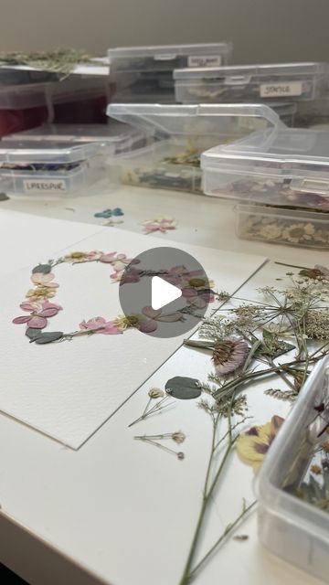 Ashley 🌼 Preserved Pressed Flower Artist on Instagram: "Here in my studio with this song cranked creating all the heart cards on a winter day 🥰. #seasonforlove 

Taking this downtime time to test out new products and ideas…I haven’t dove into spring collection planning yet but ideas are flowing…the creative flow is often slow, but it always seems to get accomplished ☺️. 

One of my most requested items at markets is cards with real flowers… and while these are a labour of love, the fact they double as a gift that can be framed and enjoyed much longer makes them worth it 💙

#cardsandflowers #pressedflowervalentines #flowersandhearts #lovecards #handmadegreetingcards" Pressed Flower Cards, Flower Artists, Flower Card, Heart Cards, Pressed Flower, Artist On Instagram, Winter Day, Flower Cards, Labour