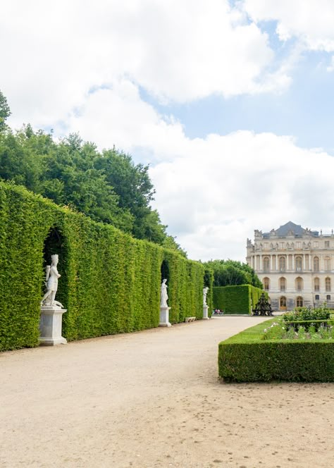 versailles gardens on design darling Garden Maze Aesthetic, Versailles Garden, Design Darling, Chateau Versailles, Formal Garden, Magic Garden, Castle Garden, Luxury Garden, Palace Of Versailles