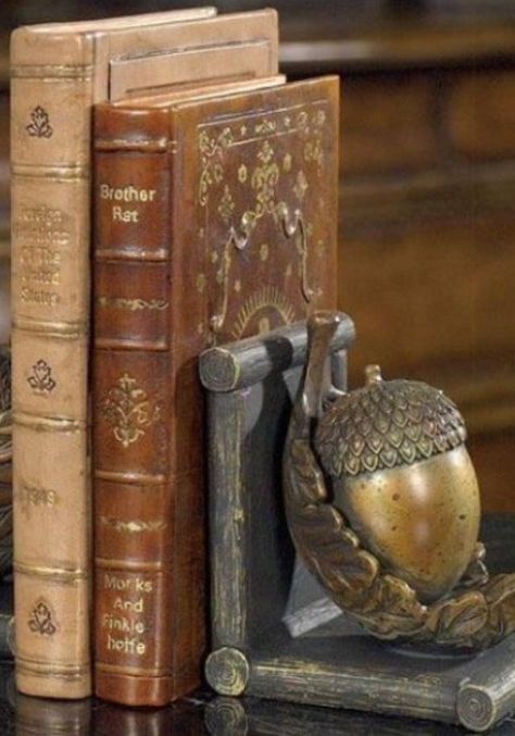 Acorn And Oak, Leather Bound Books, A Beautiful Life, Home Library, Book Nooks, Old Books, Library Books, I Love Books, Beautiful Life