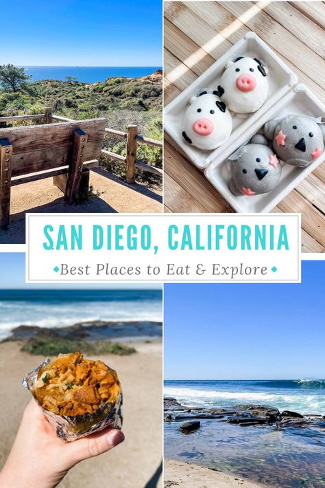 beach and ocean views on the California coast plus Al Pastor Burrito & yummy boa buns Mission Beach San Diego, Beach San Diego, Mom Travel, Places To Explore, Mission Beach, California Vacation, Awesome Food, Beach Boardwalk, San Diego Zoo