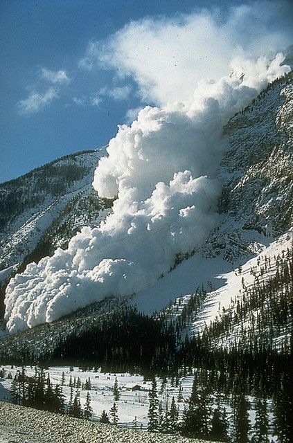 Avalanche - another expression of God's power...beautiful! Wild Weather, Beautiful Disaster, Wild Nature, Natural Phenomena, Science And Nature, Natural Disasters, Amazing Nature, Nature Photos, Natural Wonders