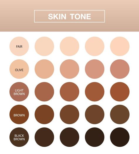 skin tone infographic, Color table chart ,  beauty human index, vector design. Skin Chart, Skin Tone Chart, Skin Color Chart, Purple Colour Shades, Beauty Vector, Skin Palette, Table Chart, Color Table, Palette Art